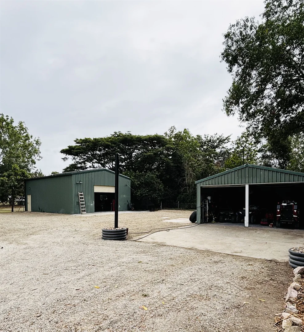 Image 19