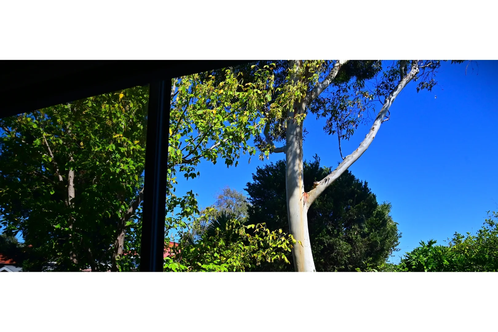 Additional image 11 of 1/61-65 Harold Street, Thornbury VIC 3071