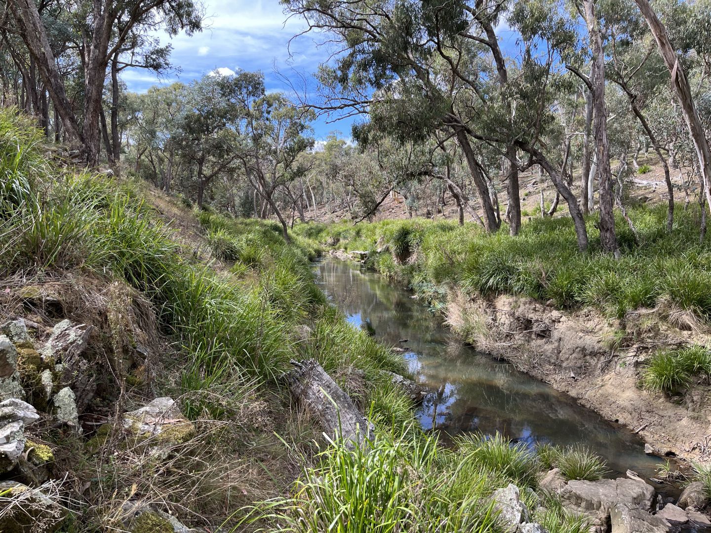 Lot 1 Collector Road, Gunning NSW 2581, Image 1