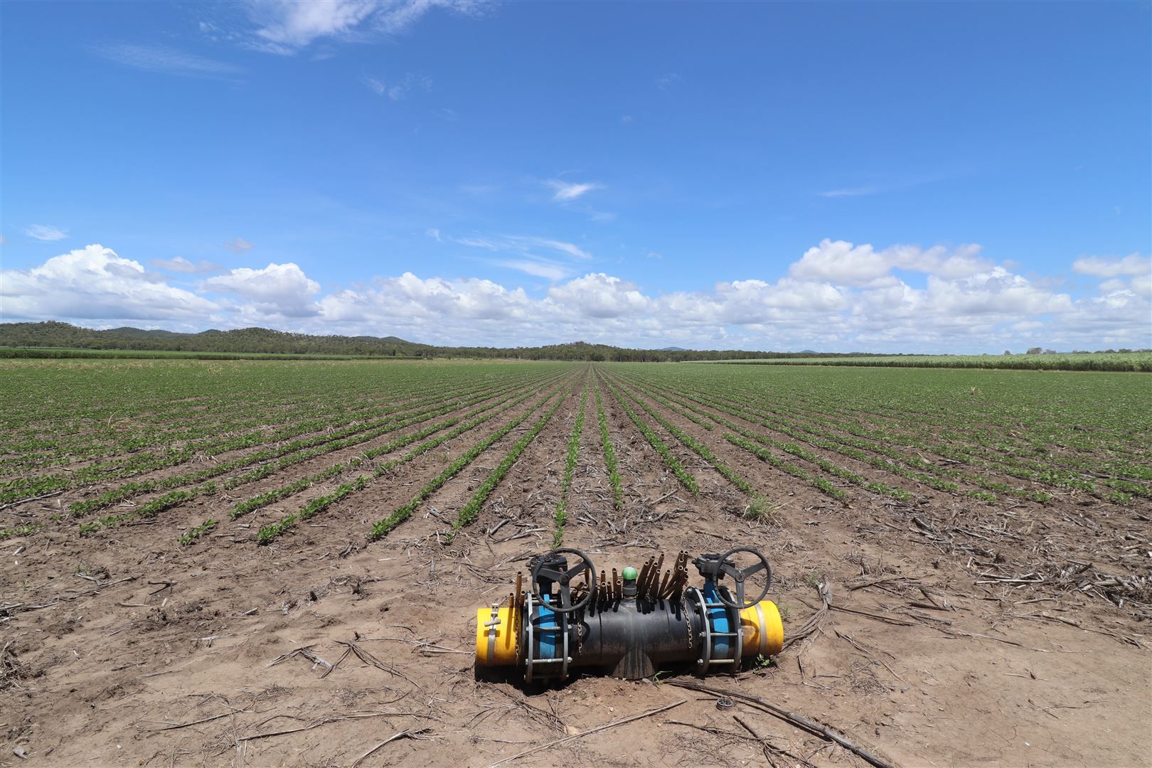 Farm in , HOME HILL QLD, 4806