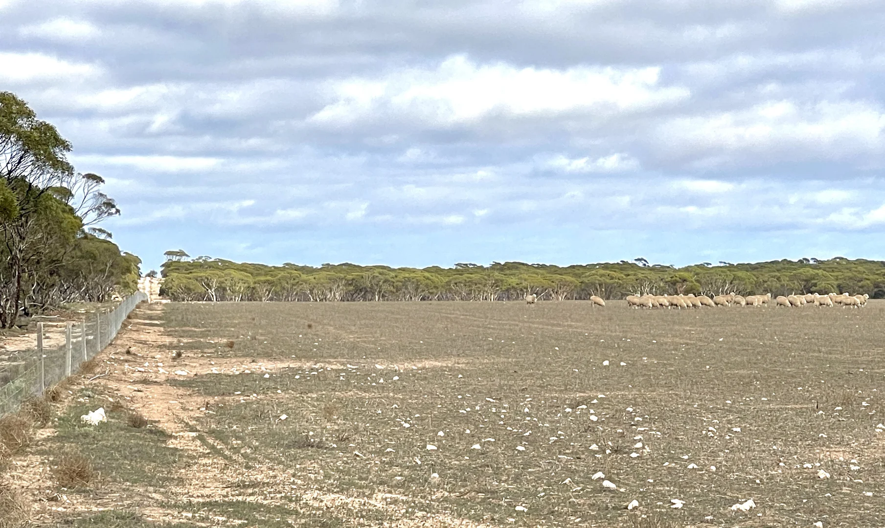 Image 6