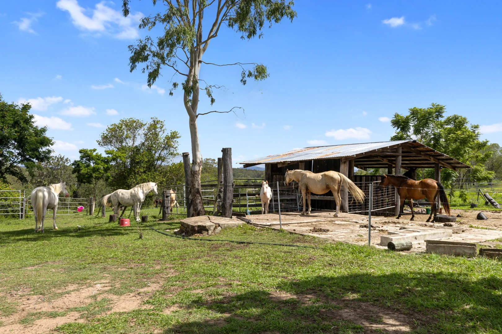 Additional image 8 of 1203 Bauple Woolooga Road, Gundiah QLD 4650