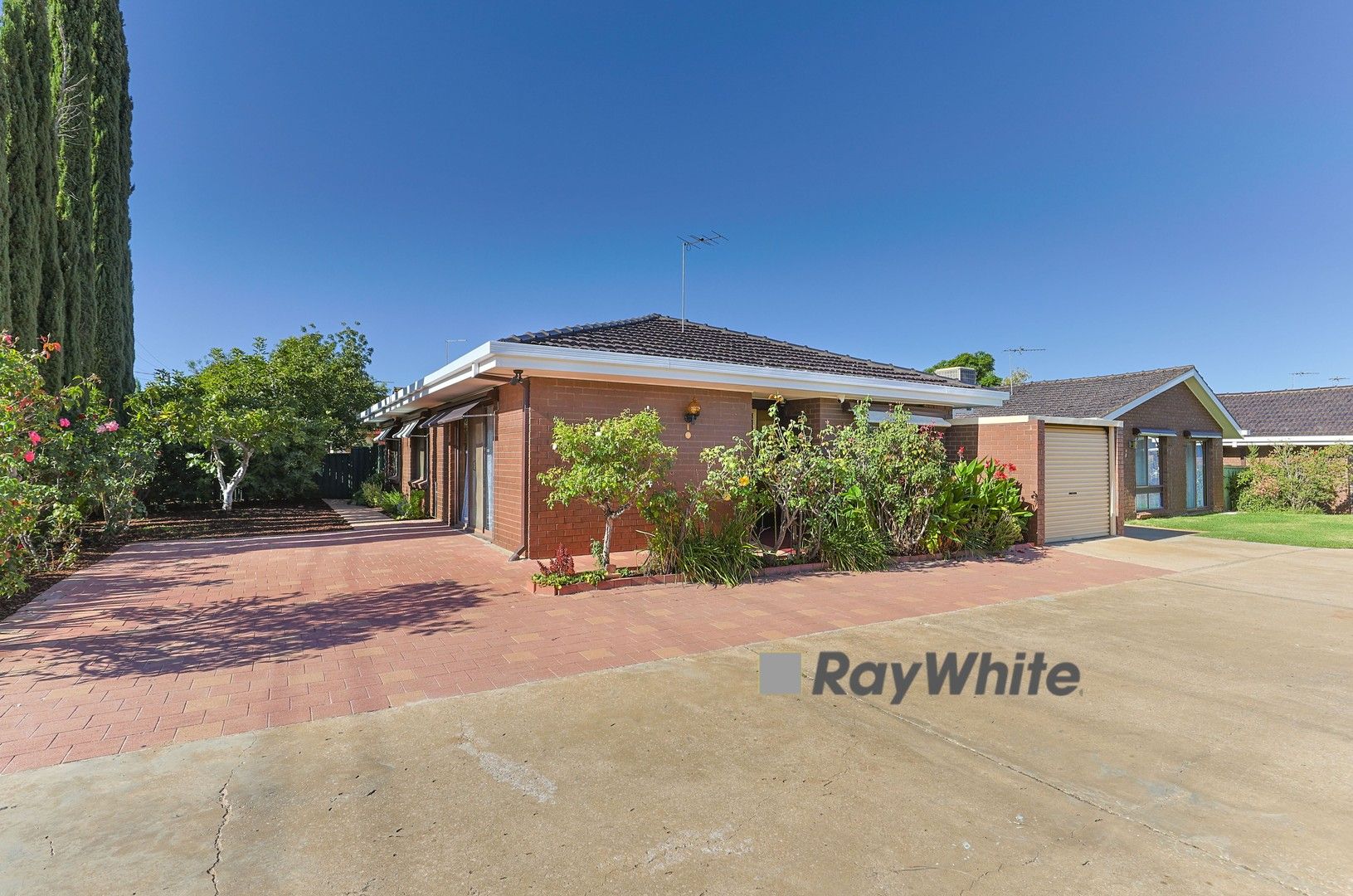 1/152 San Mateo Avenue, Mildura VIC 3500, Image 0