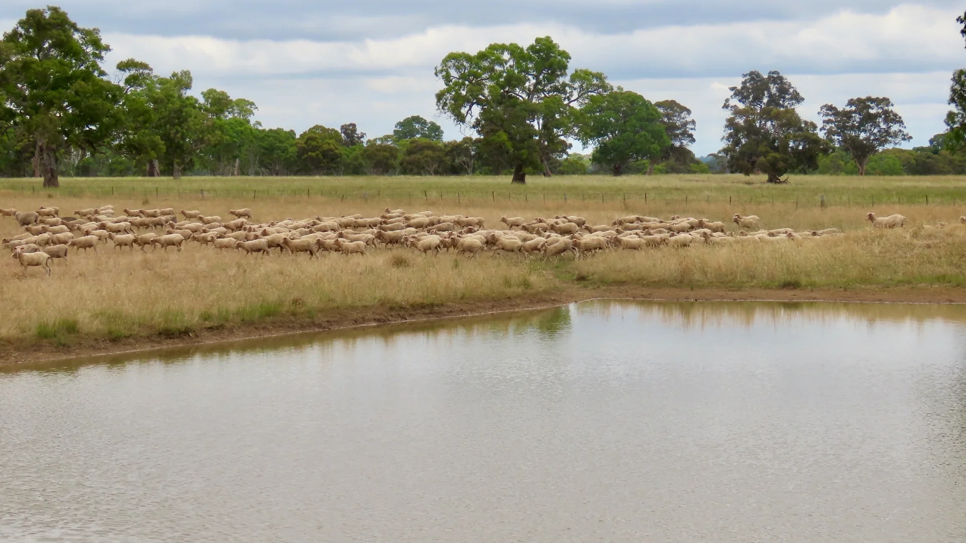 Additional image 17 of 596 Mostyn Lane, Balmoral VIC 3407