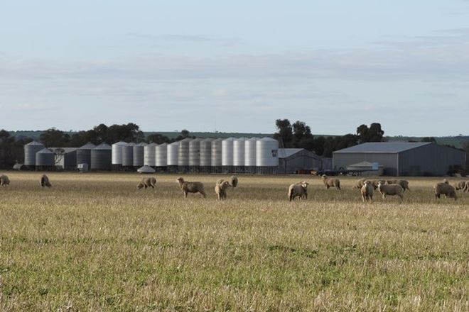 Picture of Cusmano's & Pearce's Farms, HYDEN WA 6359