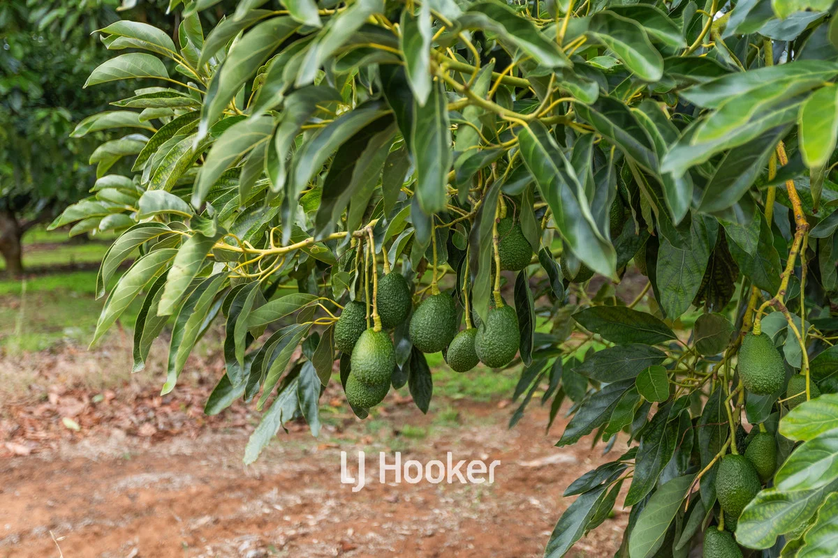 Additional image 33 of 308 Payne Road, Kaloorup WA 6280