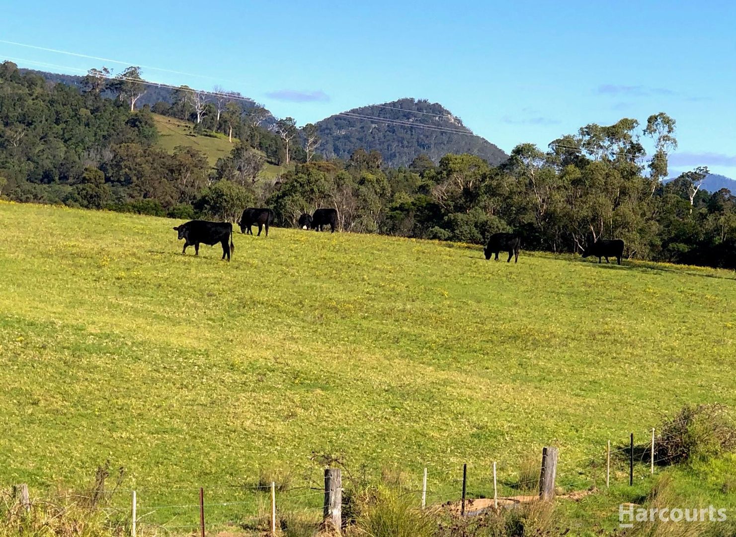 Lot 40 Stage 1 Wolumla Estate, Wolumla NSW 2550, Image 1