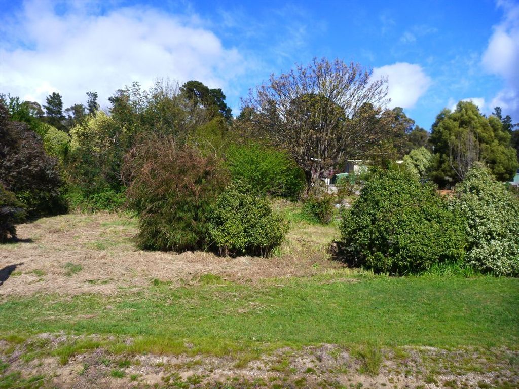 61 Payne Street, Beaconsfield TAS 7270, Image 0