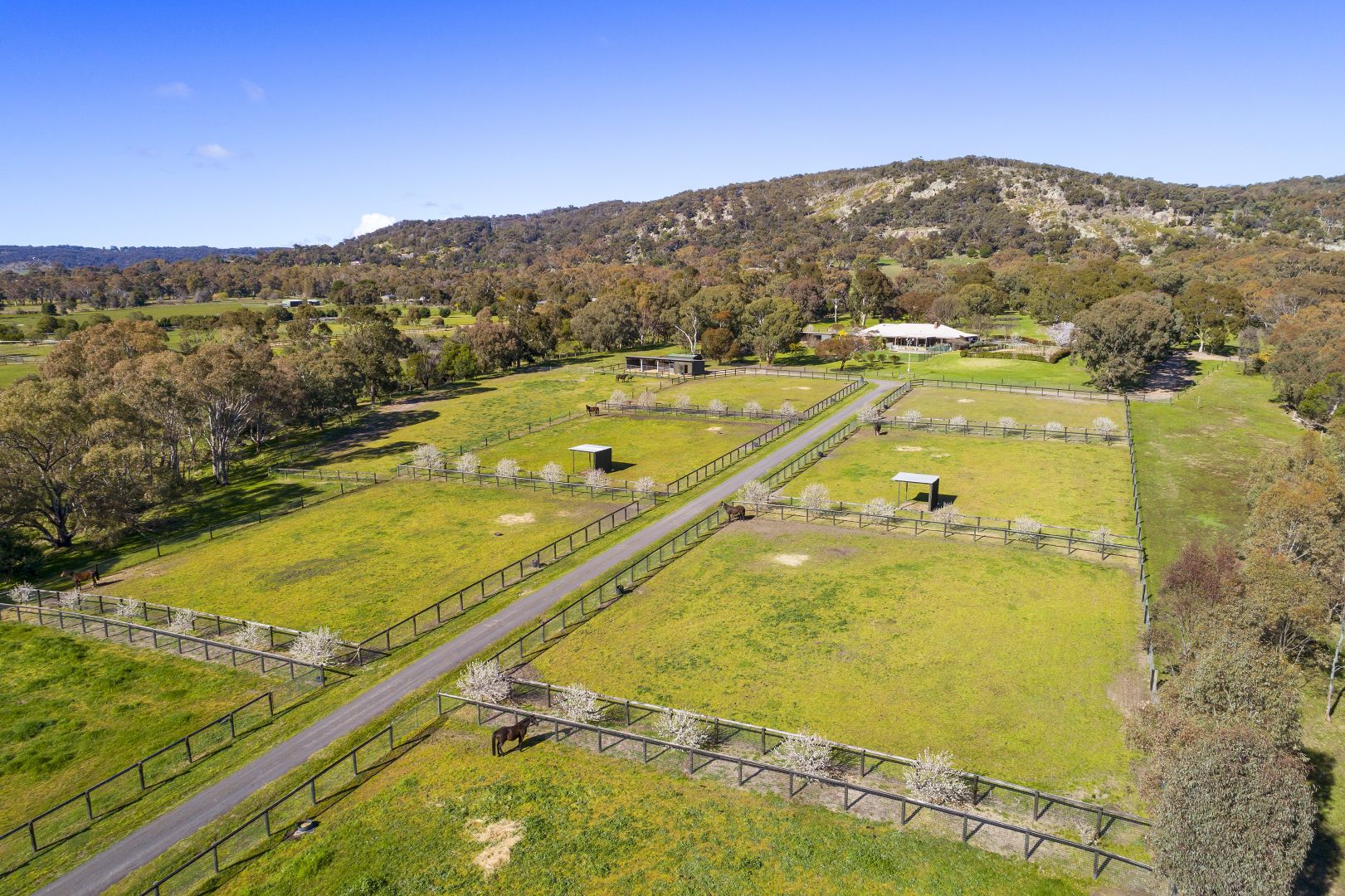 197 Longwood-Ruffy Road, Longwood East VIC 3666, Image 2