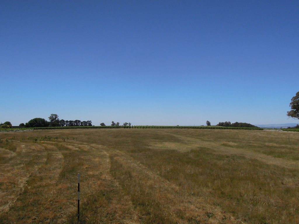 4830 Mansfield Whitfield Road, Whitlands VIC 3678, Image 1