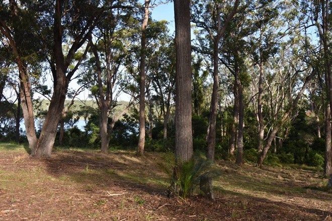 Picture of 27 Endeavour Drive, WALLAGA LAKE NSW 2546