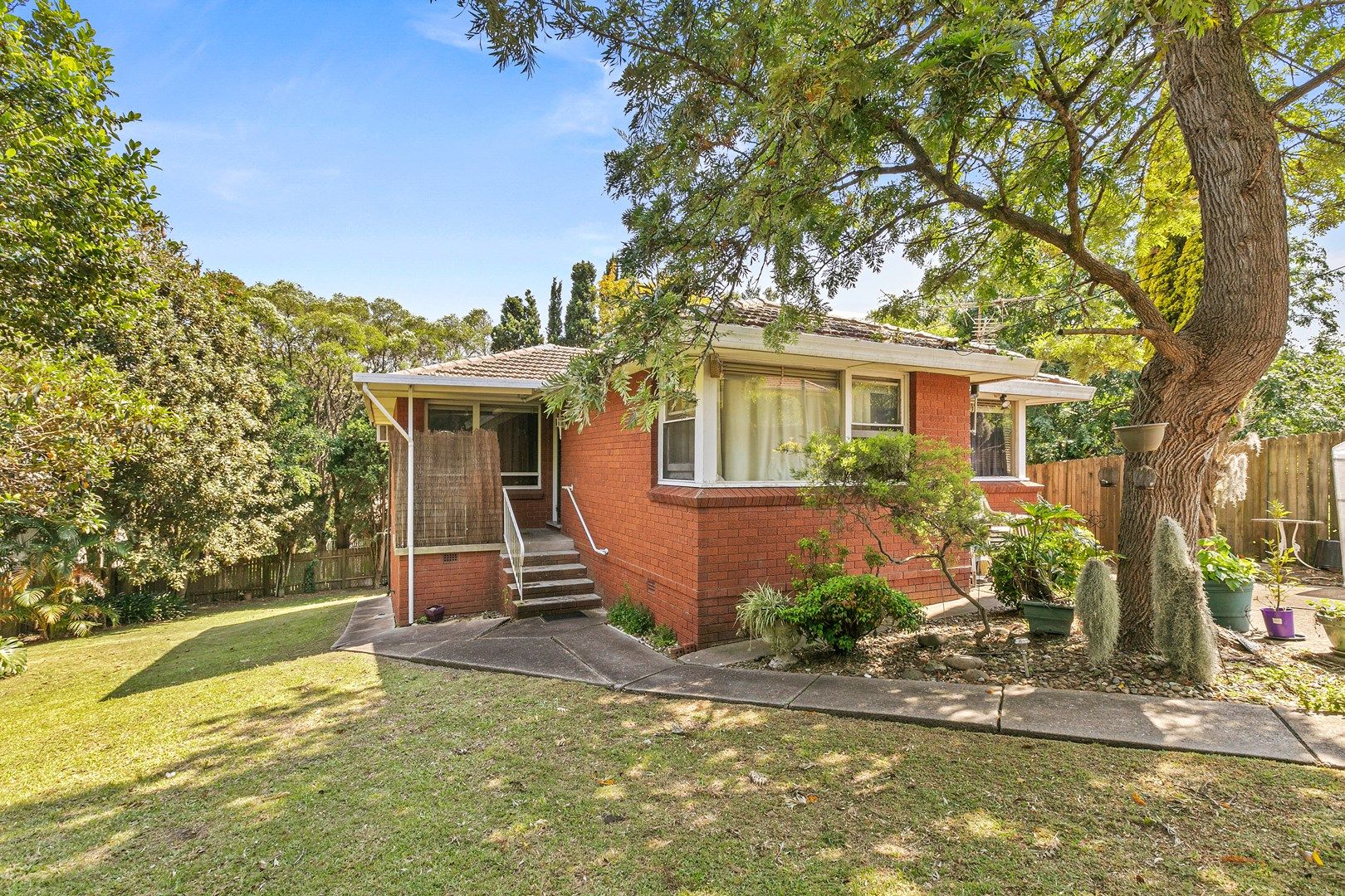 3a Chaleyer Street, Willoughby NSW 2068, Image 0