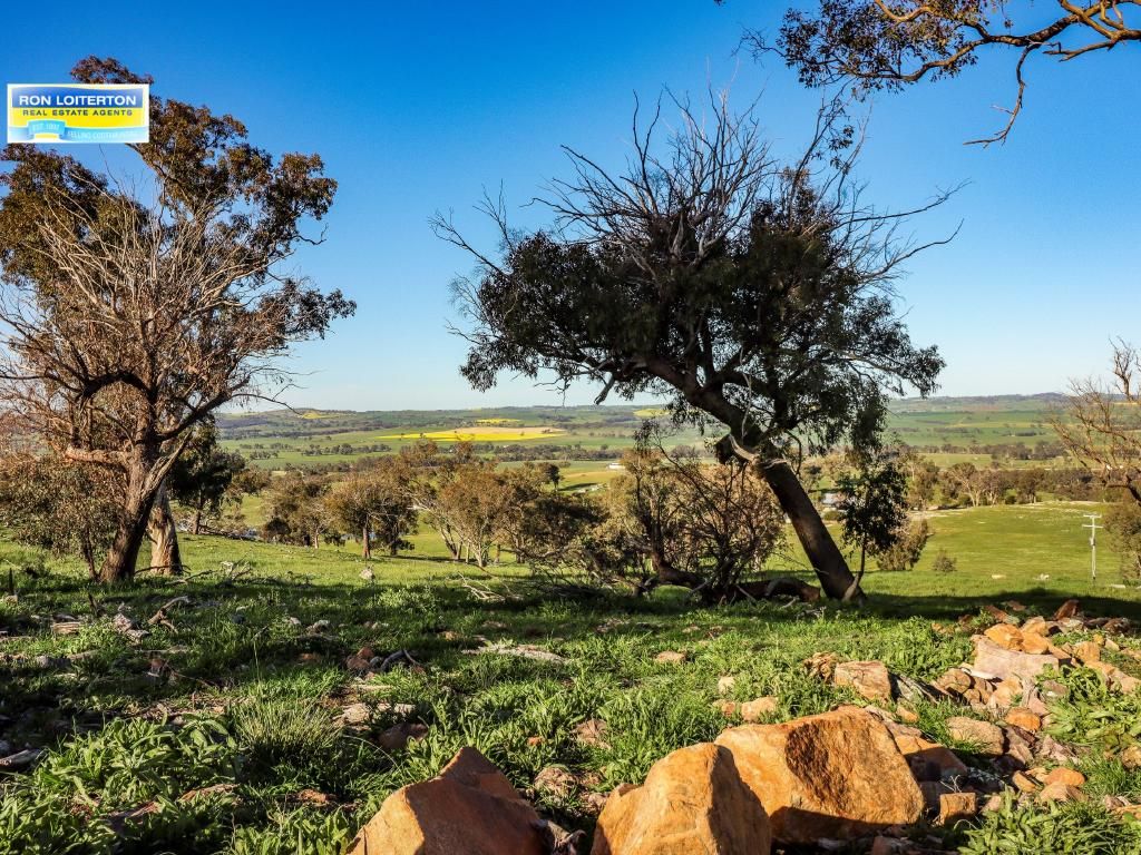 Cootamundra NSW 2590, Image 2