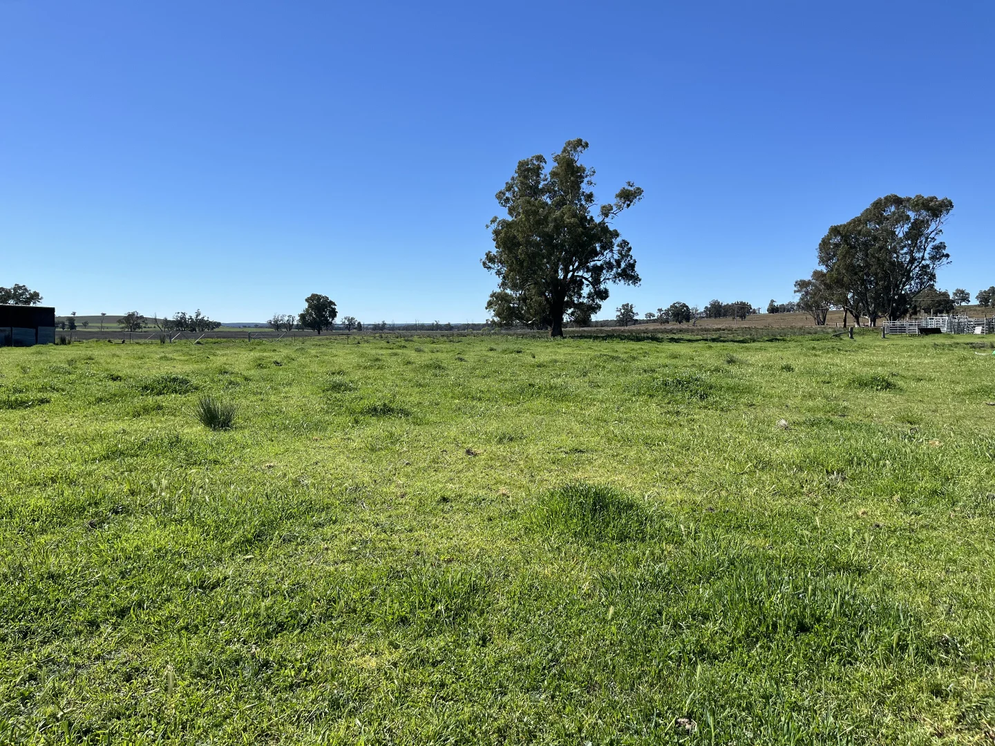 Image 14