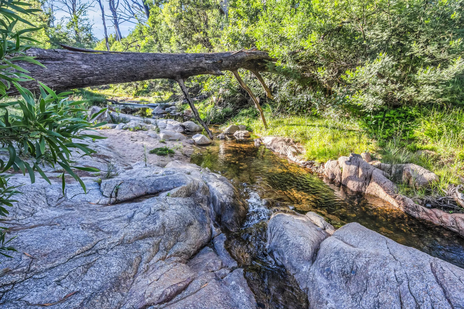 Additional image 9 of 718 Yowrie Road, Yowrie NSW 2550