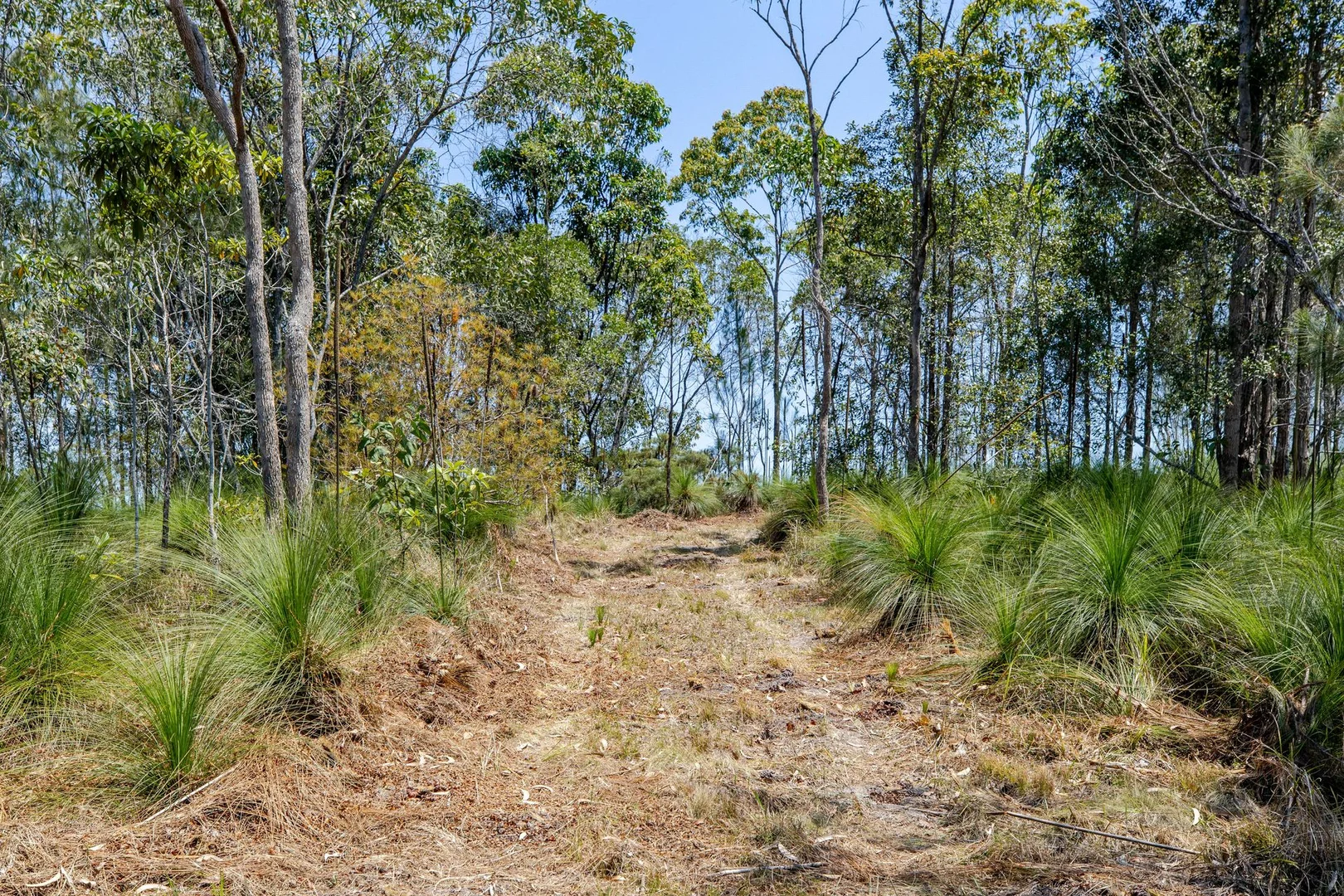 Image 13