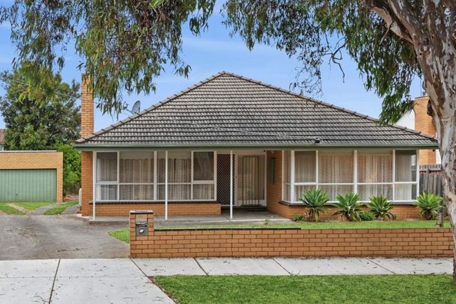 Picture of 303 High Street, BELMONT VIC 3216