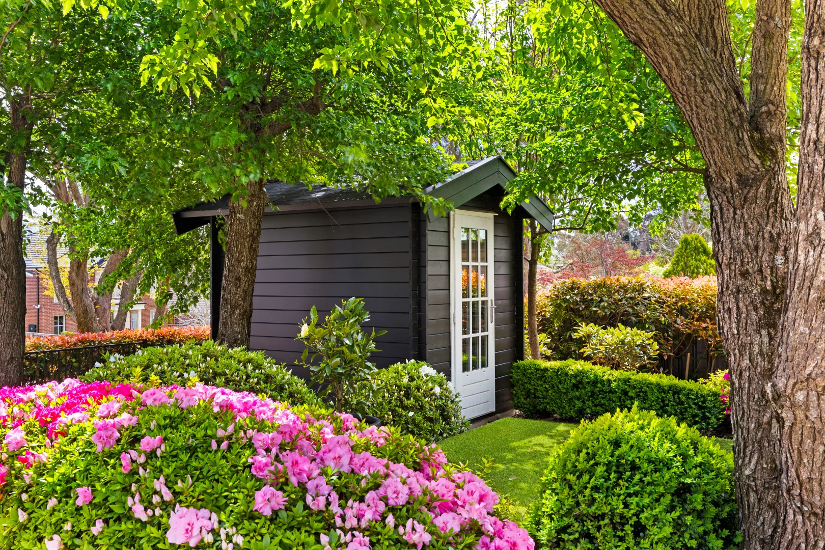 Additional image 6 of 52 Shortland Street, Wentworth Falls NSW 2782