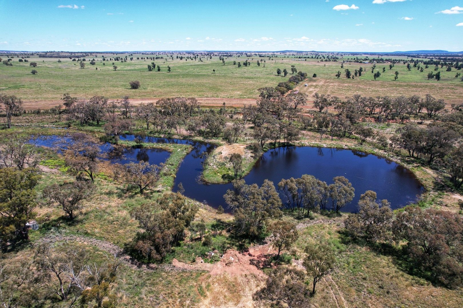 'Pine Grove' 2892 Springvale Road, Condobolin NSW 2877 Farm for Sale