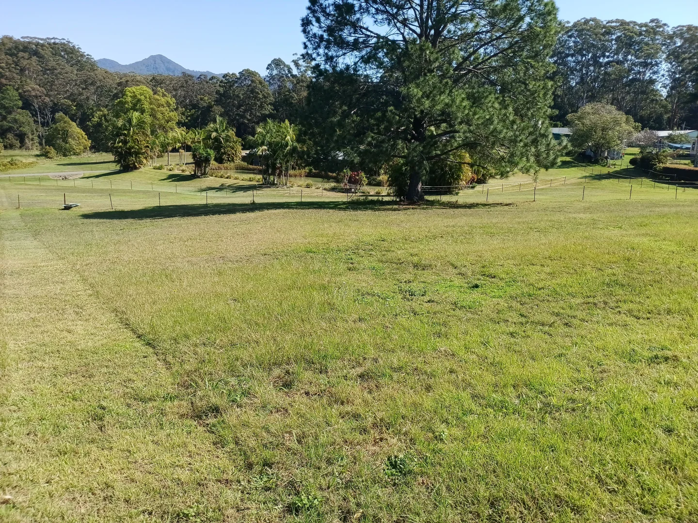 Image 10