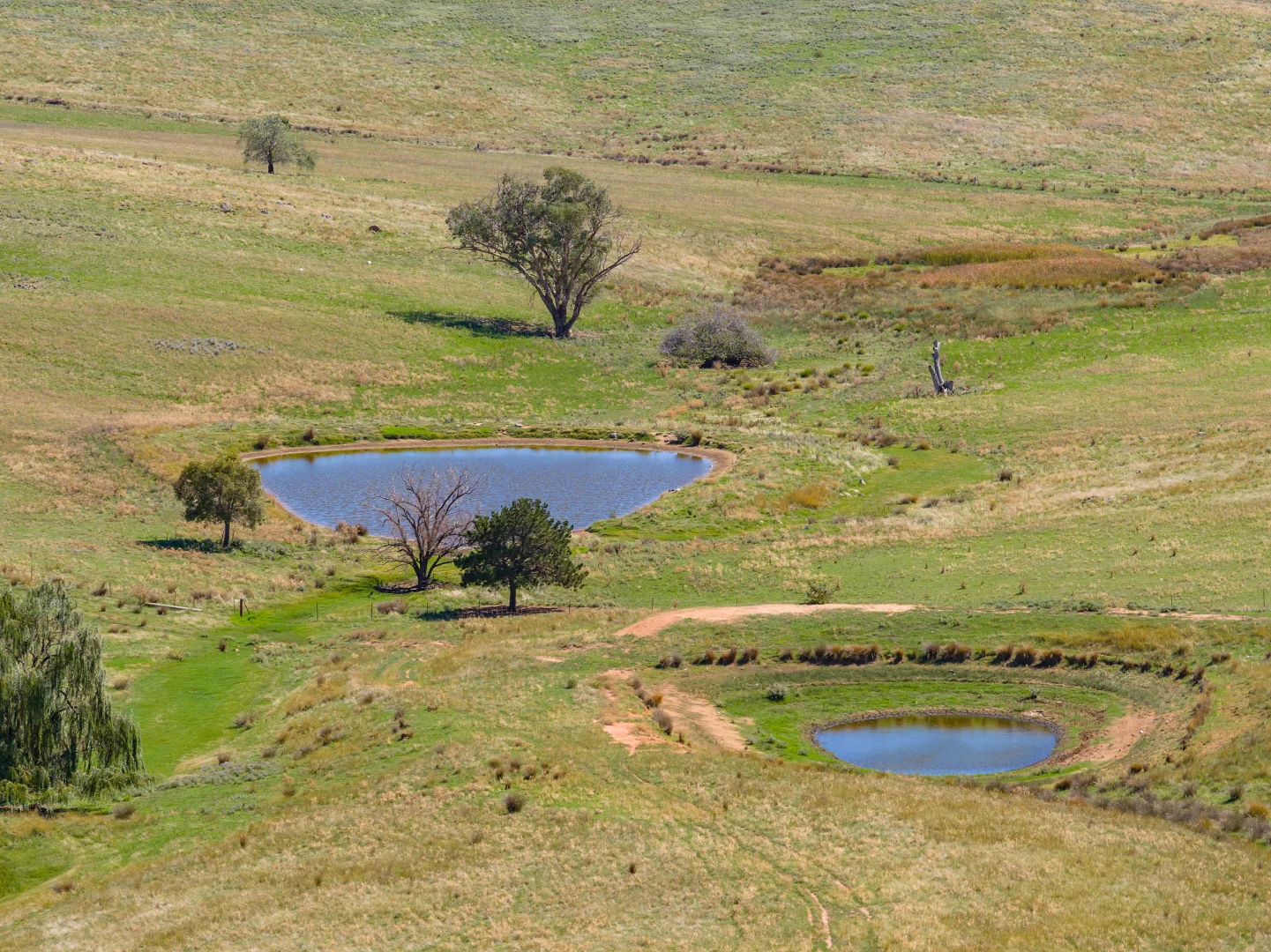 Additional image 20 of 306 Moola Road, Canowindra NSW 2804