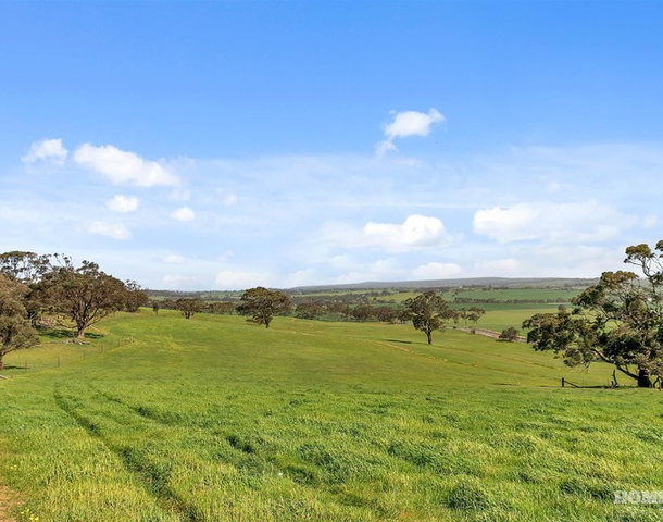 Lot 3004 Duck Ponds Road, Moculta SA 5353