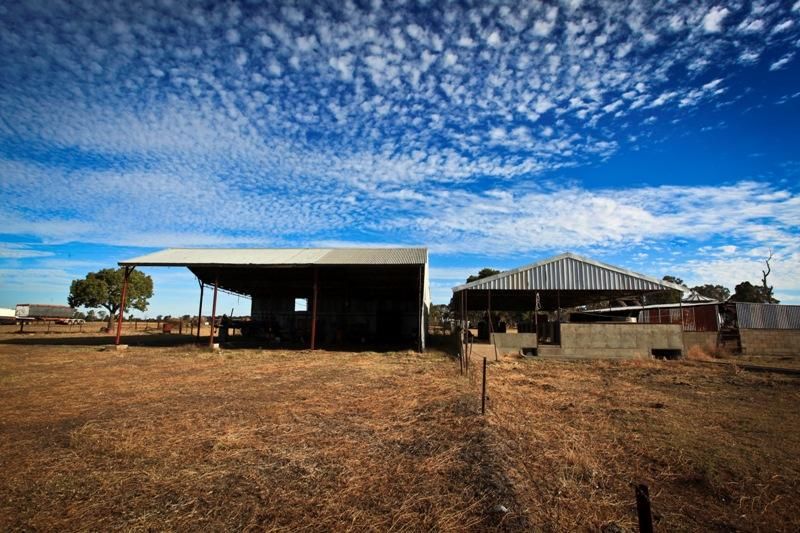 43L Bunglegumbie Road, DUBBO NSW 2830, Image 1