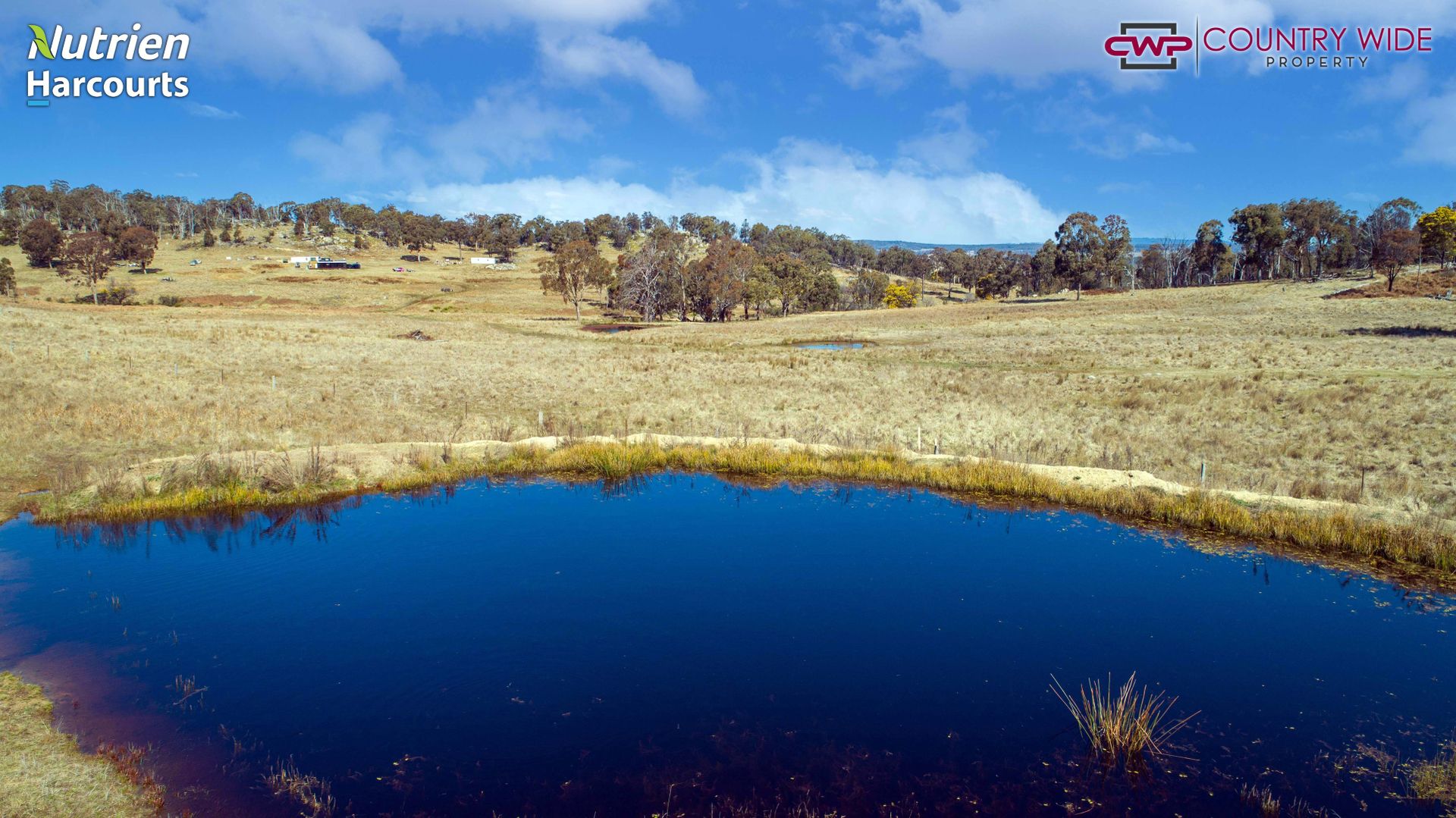 668 Ten Mile Road, Deepwater NSW 2371 House for Sale Domain