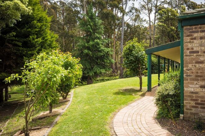 Picture of 2A Bega Street, PAMBULA NSW 2549