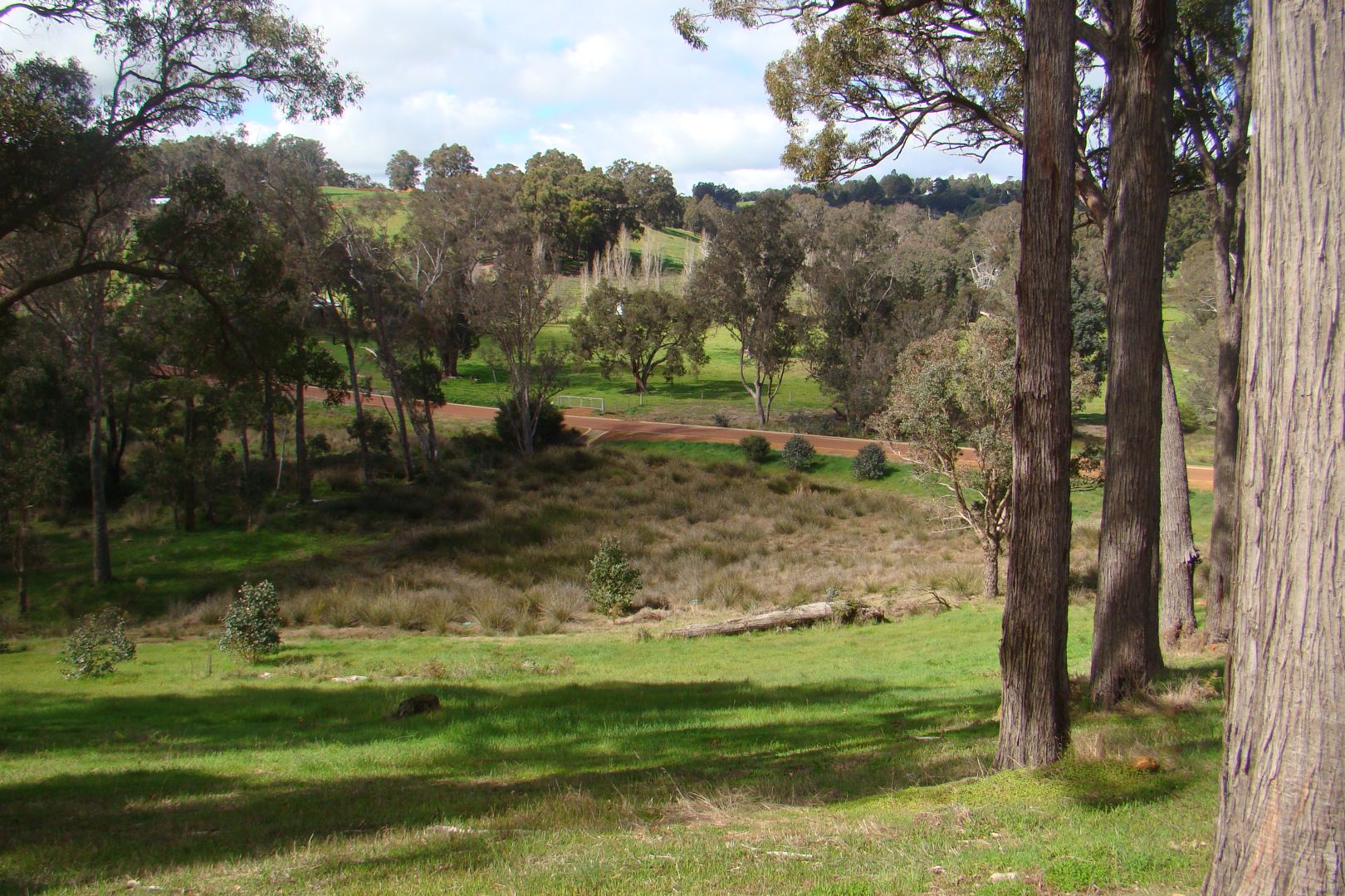 Lot 8 Windy Hollow Vale, Bridgetown WA 6255, Image 1