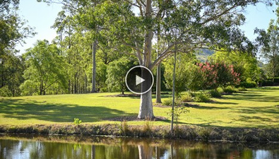 Picture of 138 Dog Trap Creek Road, EAST GRESFORD NSW 2311