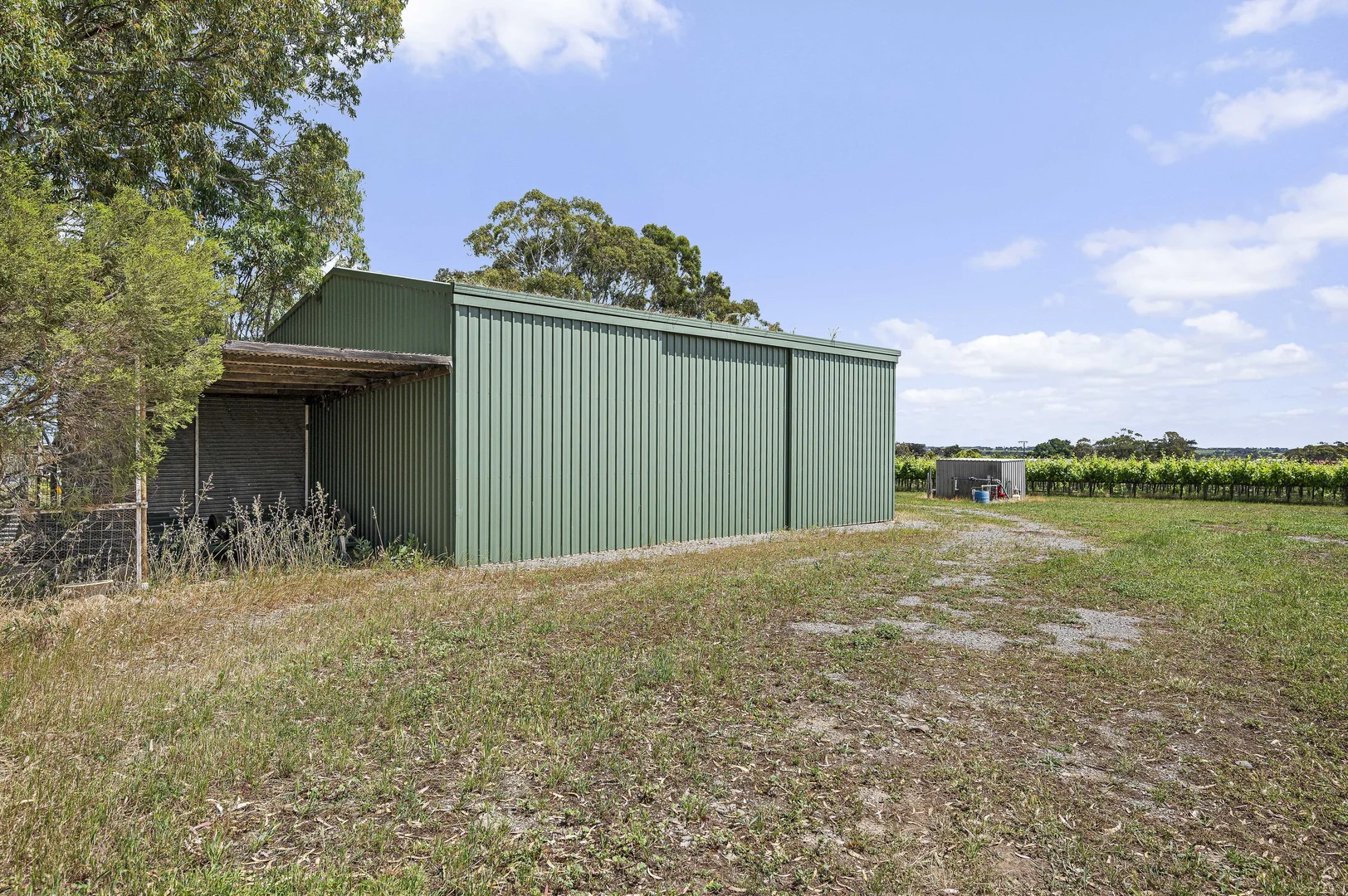 Image 9
