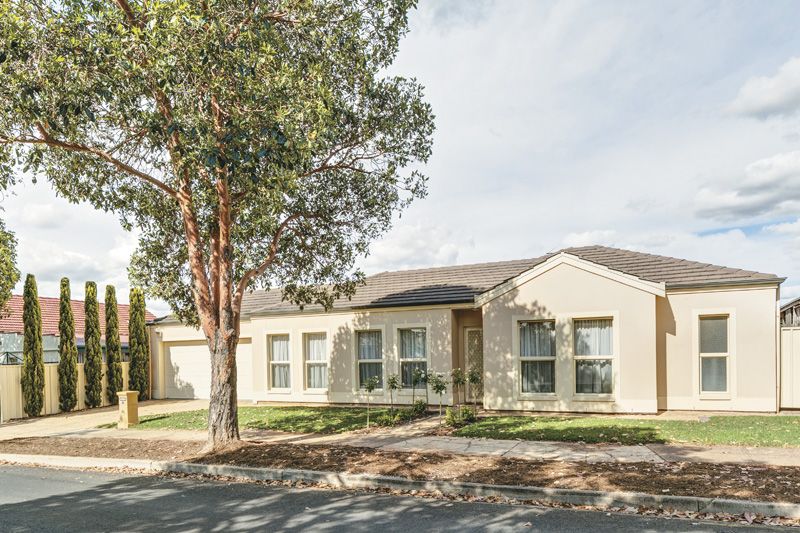 32 Scott Street, Glynde SA 5070, Image 0