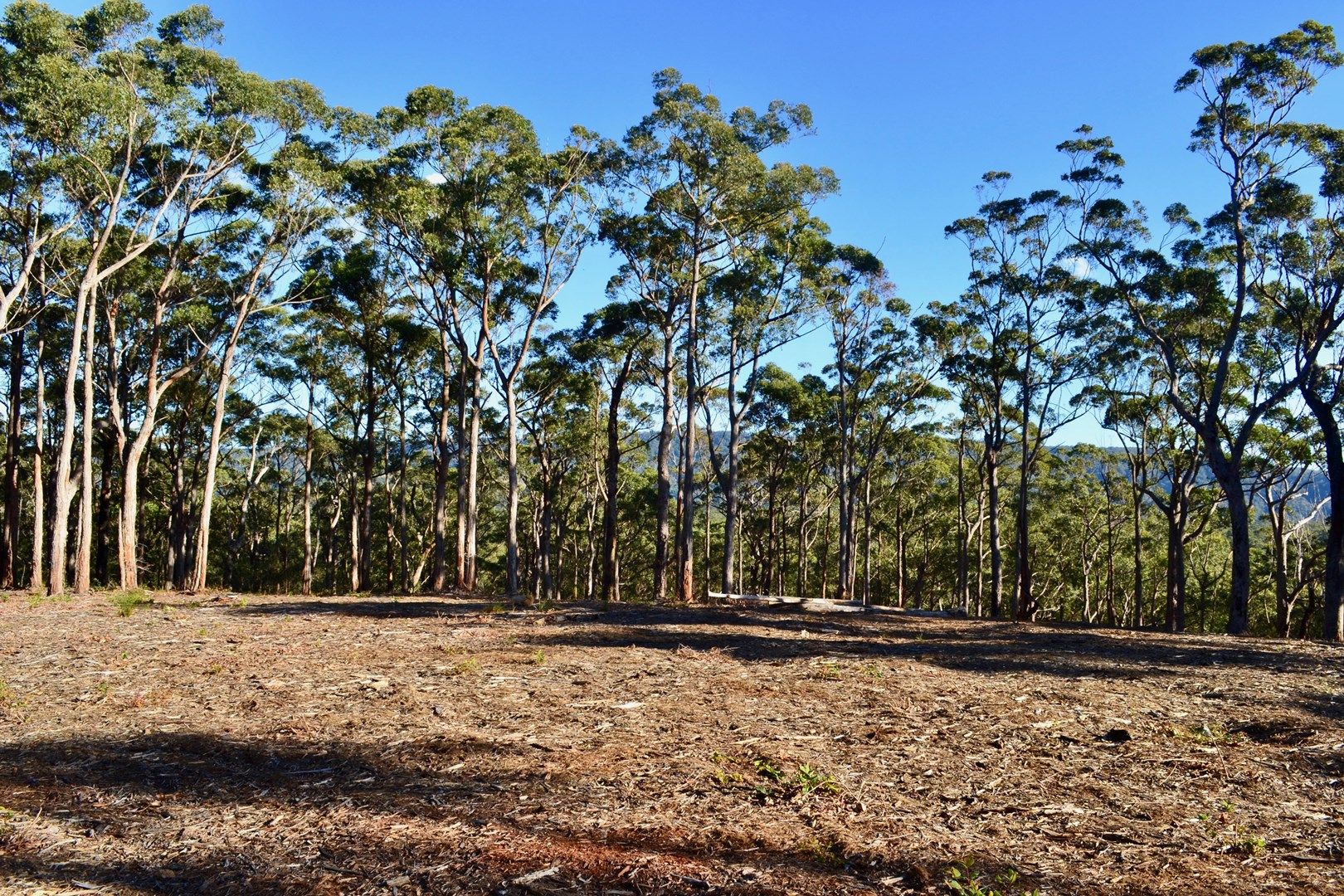 Lots 6,7,8 Little Forest Road, Little Forest NSW 2538, Image 0