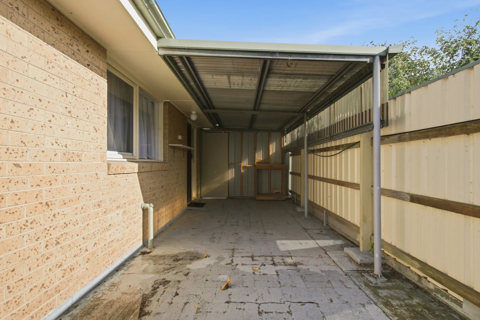 Image 19