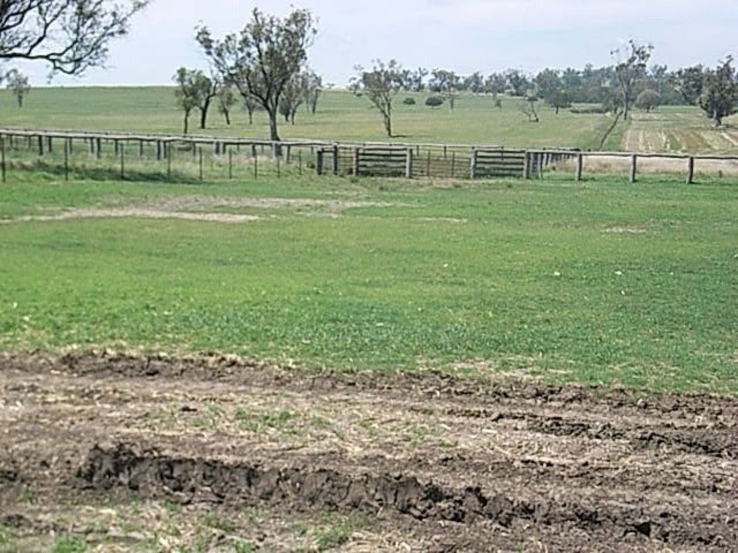 "Invereness", Warialda NSW 2402, Image 1