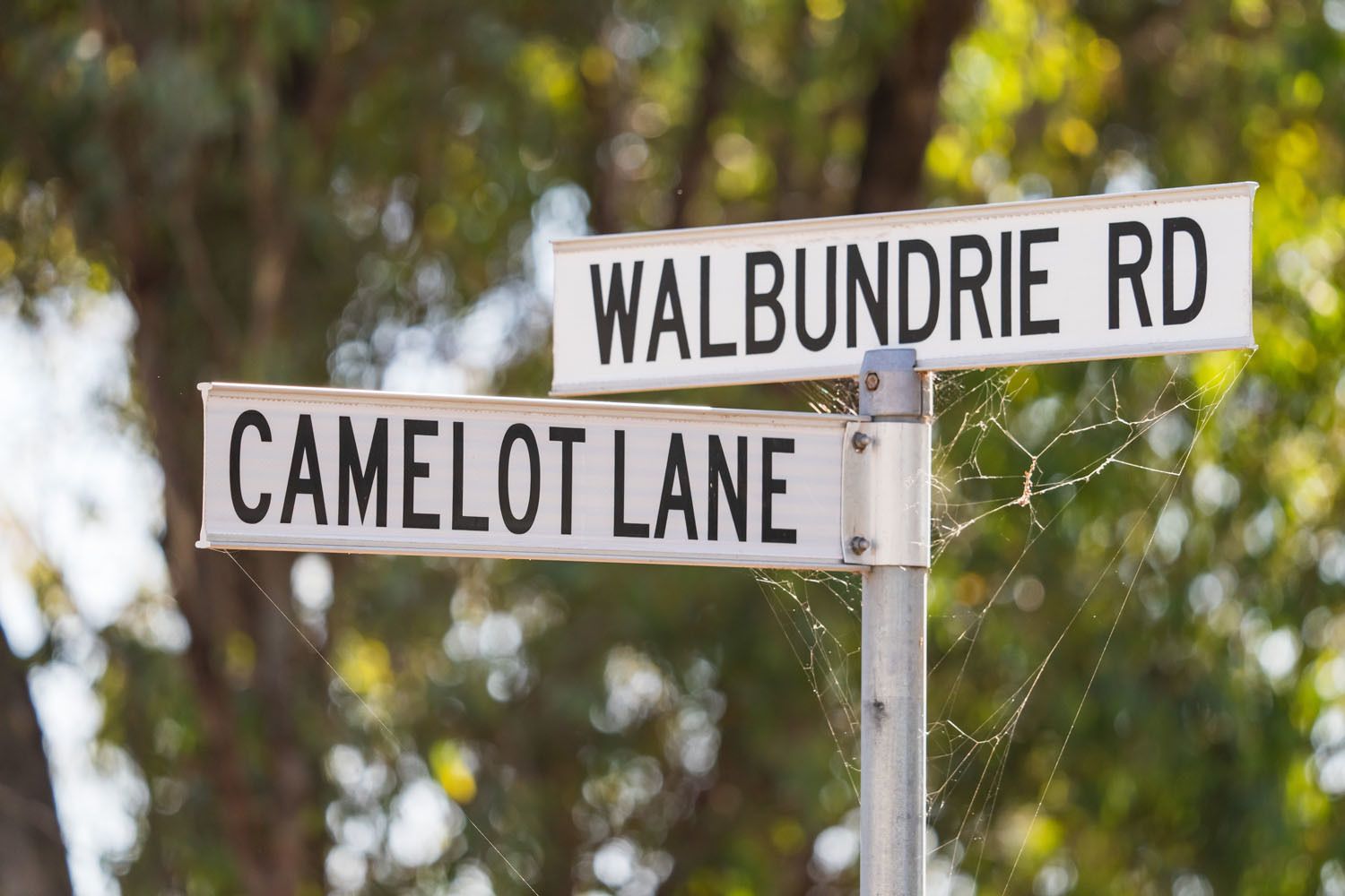 'Camelot' 49 Camelot Lane, Walla Walla NSW 2659, Image 1