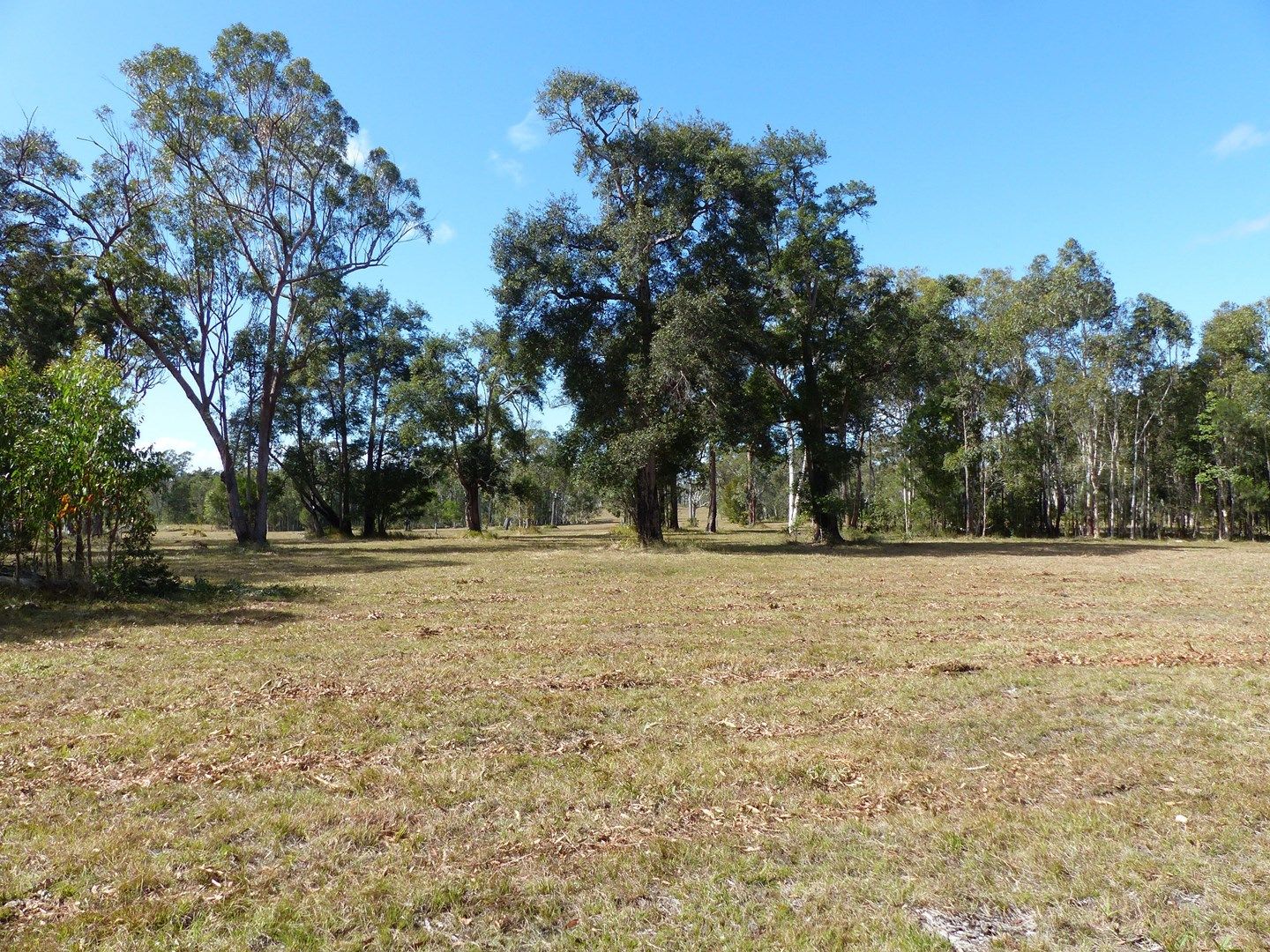 Lot 17 Cream Box Ct, Ringtail Creek QLD 4565, Image 0