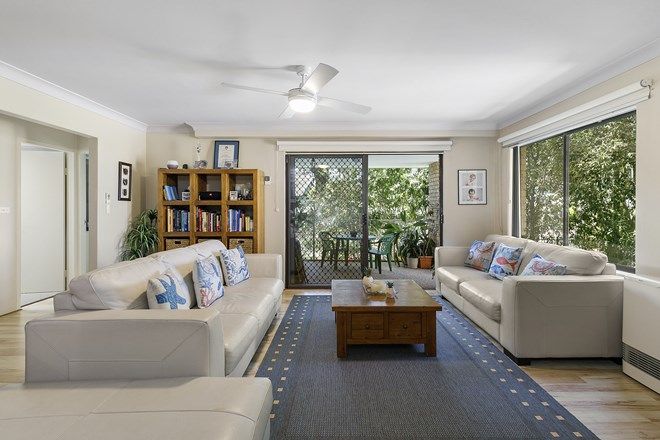 286 Rental Properties In Manly Nsw 2095 Domain