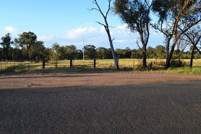 Picture of Lot 5, Sect 3 Narromine Street, MINORE NSW 2830