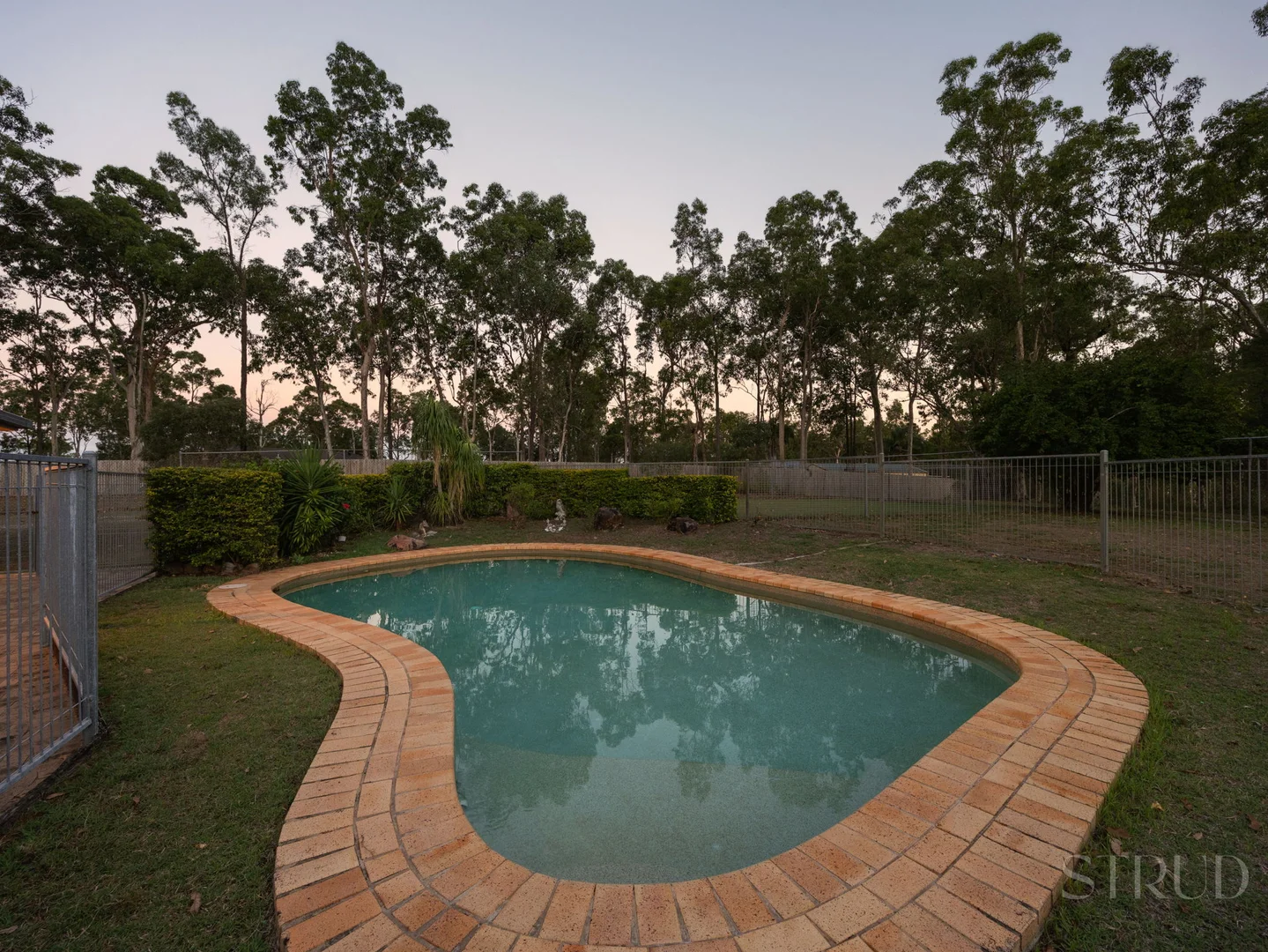 Image 15