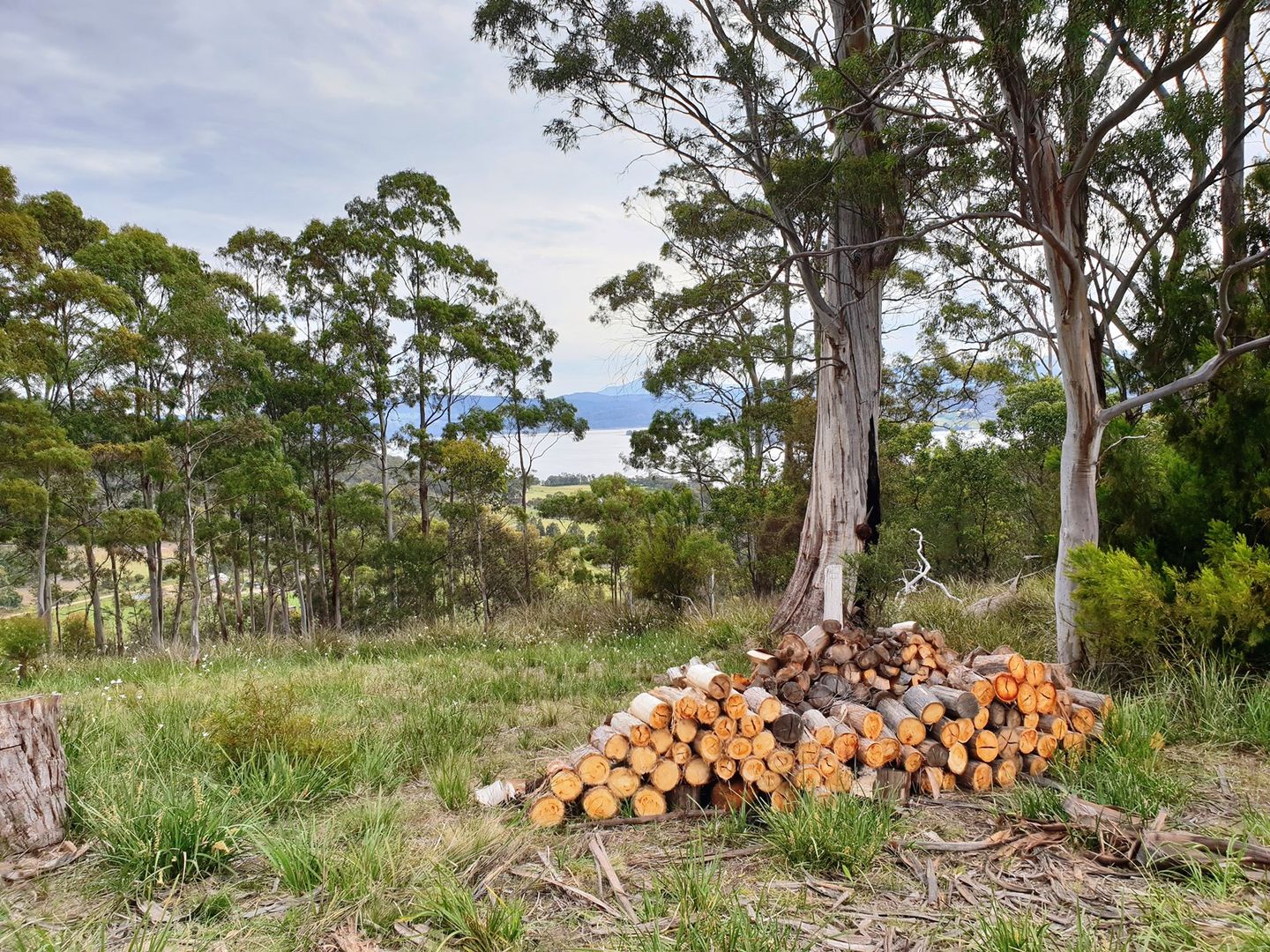 111 Rocky Bay Road, Deep Bay TAS 7112, Image 2