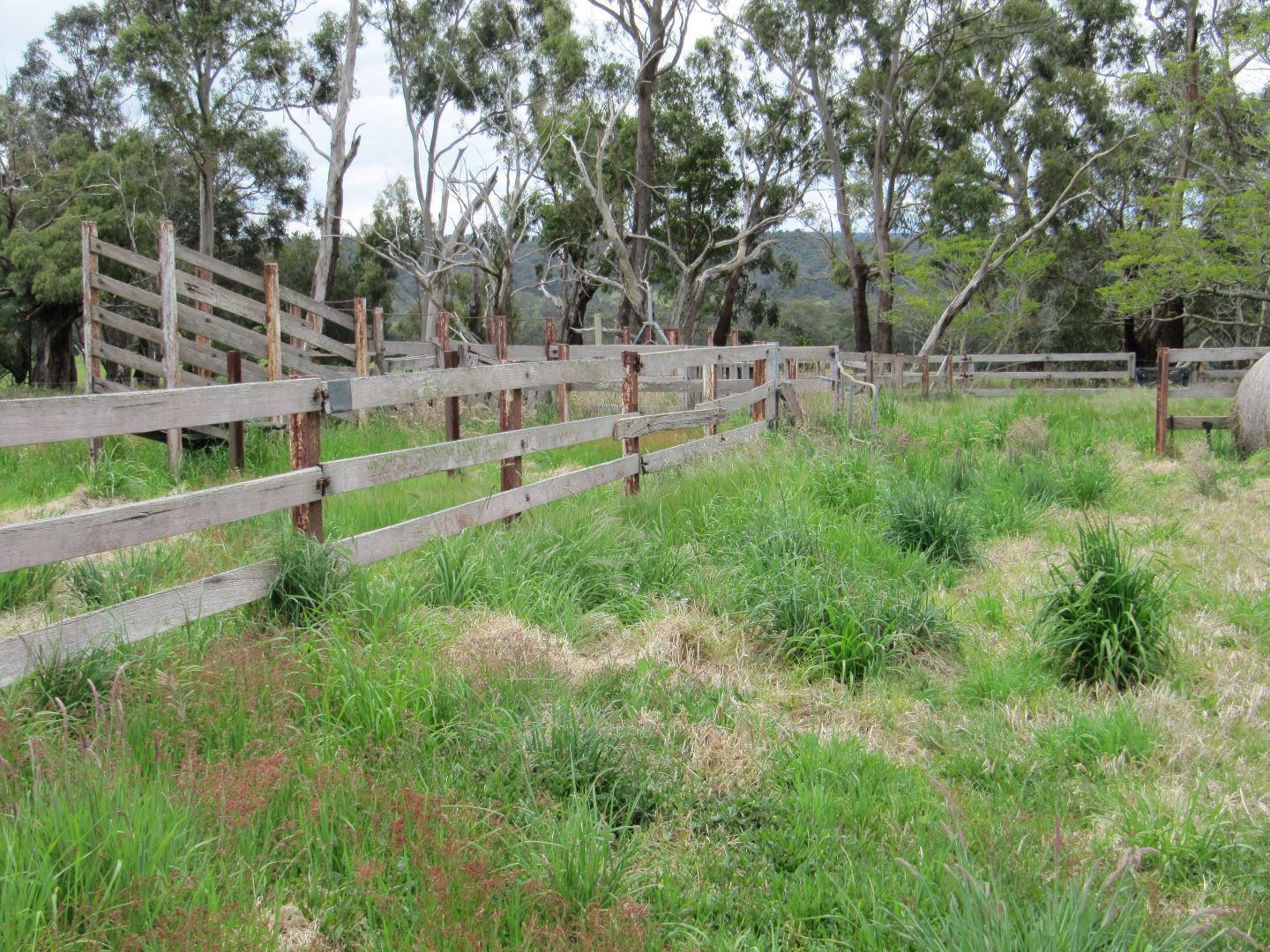 Lot 4 Gormandale-Stradbroke Road, Willung VIC 3847, Image 2