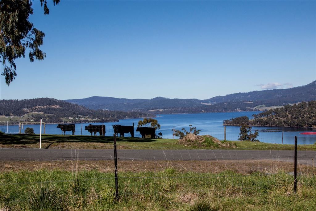 122 Palmers Road, Port Huon TAS 7116, Image 0