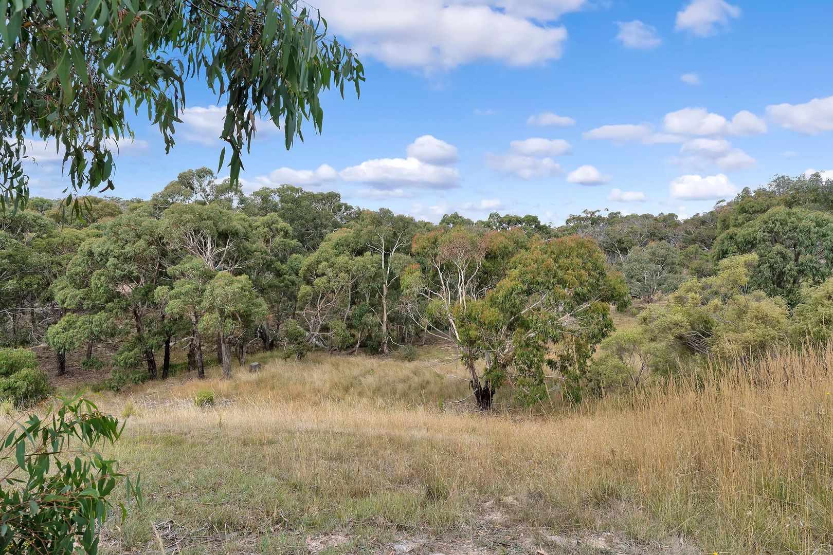 5e Little River Track, Beremboke VIC 3342, Image 1