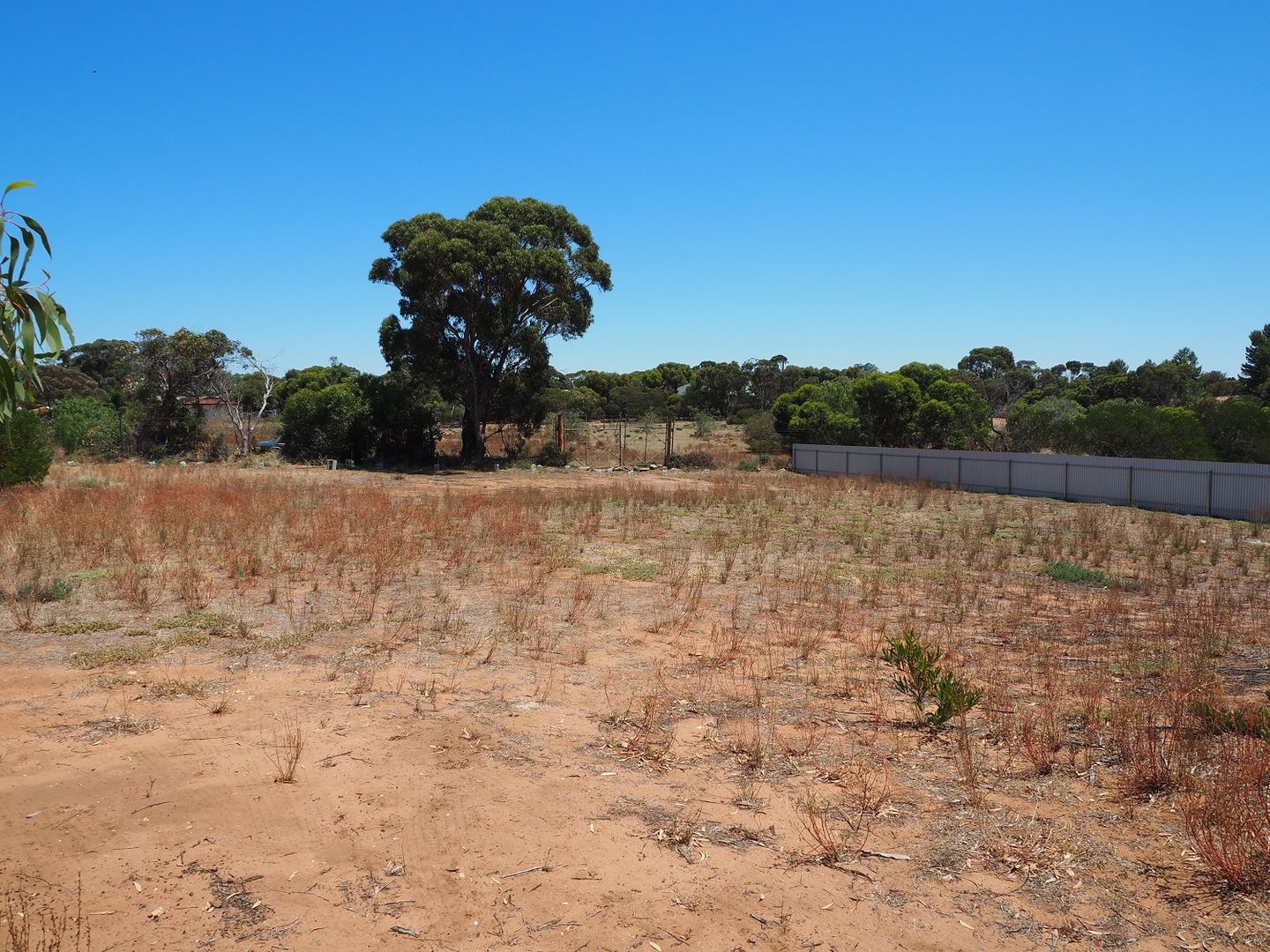 Lot 1 Karoonda Road, Murray Bridge East SA 5253, Image 2