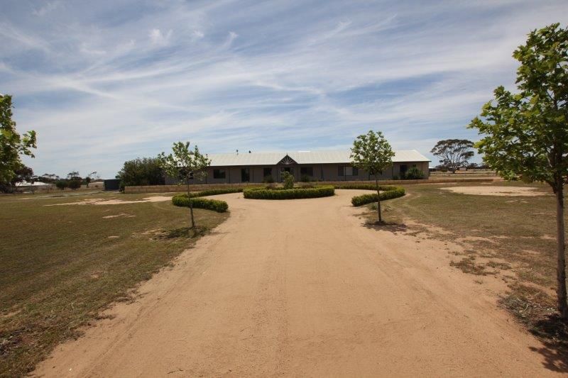 19 Whitfield Way, Merredin WA 6415