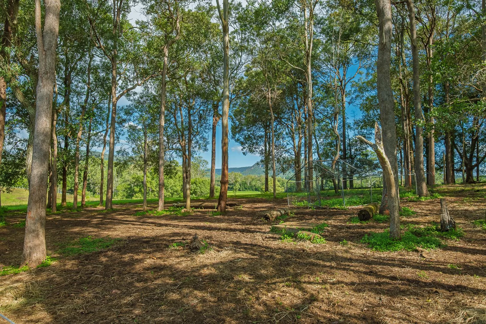 Additional image 26 of 40 McGinn Road, Gheerulla QLD 4574