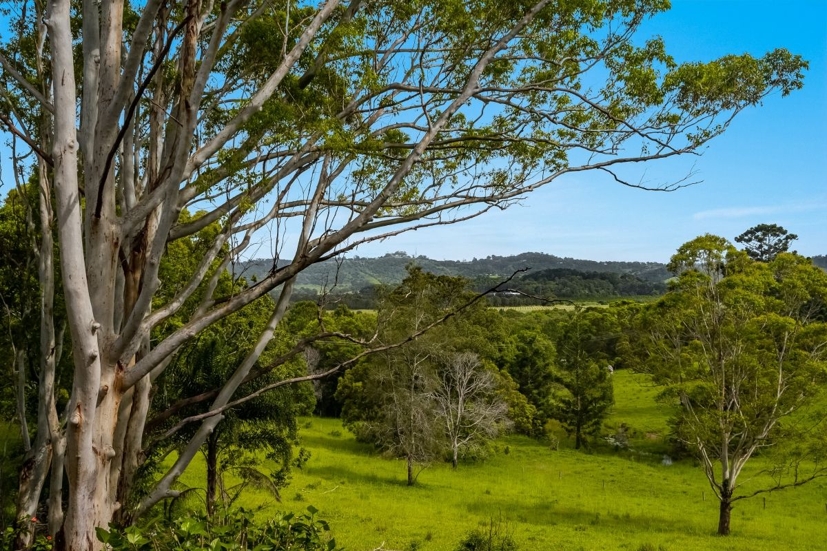 801 Broken Head Road, Broken Head NSW 2481, Image 1