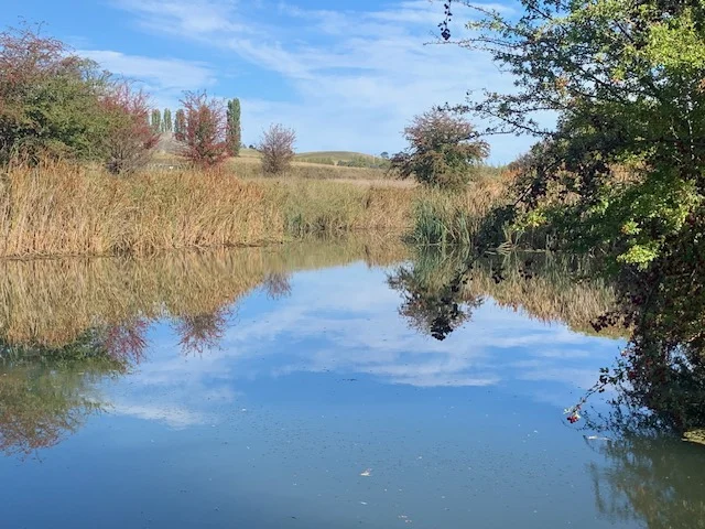 Image 21